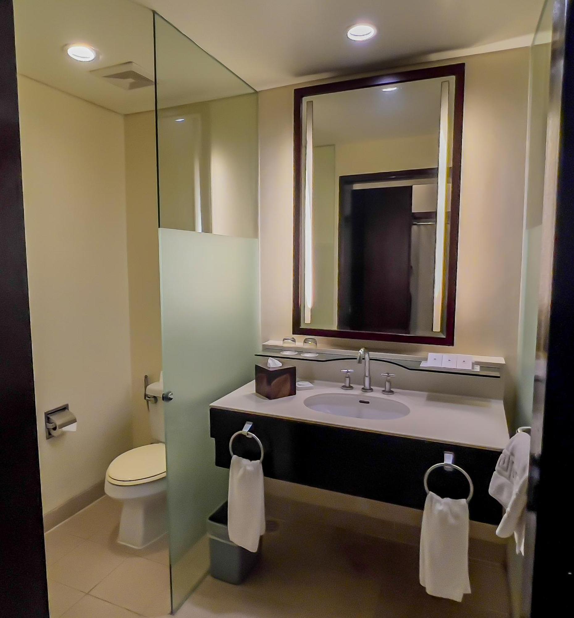 טגאיטאי Taal Vista Hotel מראה חיצוני תמונה Bathroom in a hotel room